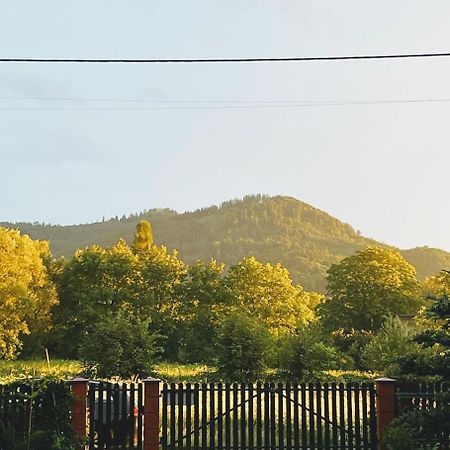 Domek Nad Rzeka - Na Wylacznosc Brenna Buitenkant foto